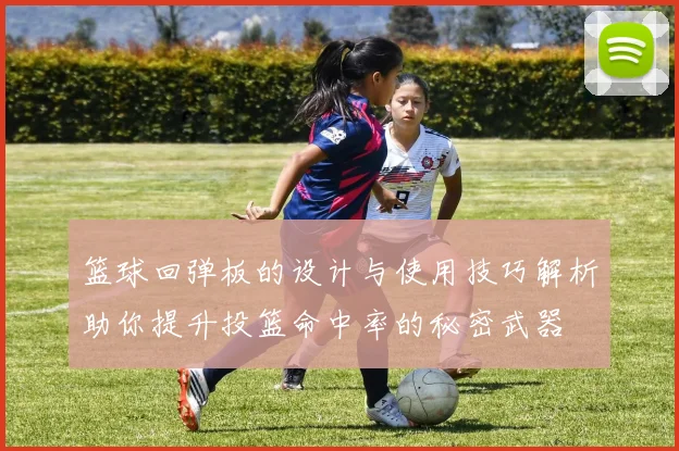 篮球回弹板的设计与使用技巧解析助你提升投篮命中率的秘密武器