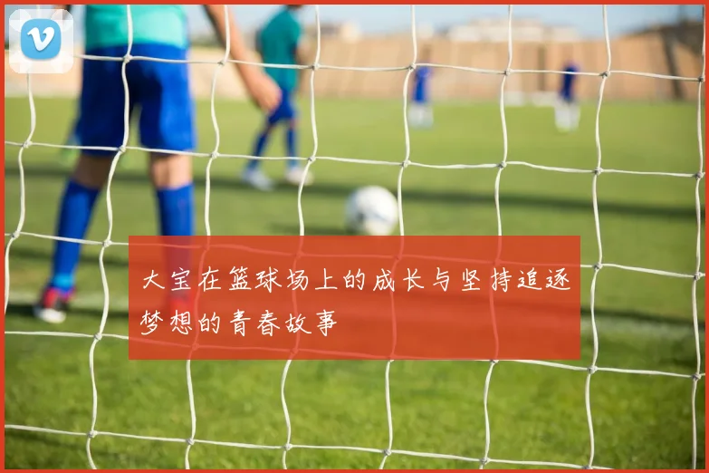 大宝在篮球场上的成长与坚持追逐梦想的青春故事