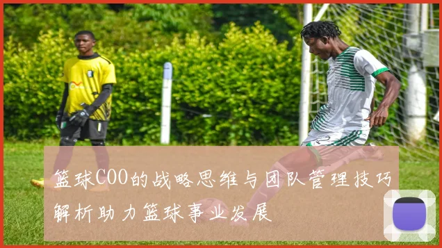 篮球COO的战略思维与团队管理技巧解析助力篮球事业发展