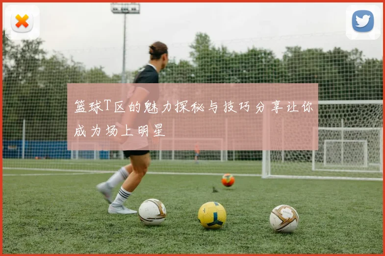 篮球T区的魅力探秘与技巧分享让你成为场上明星