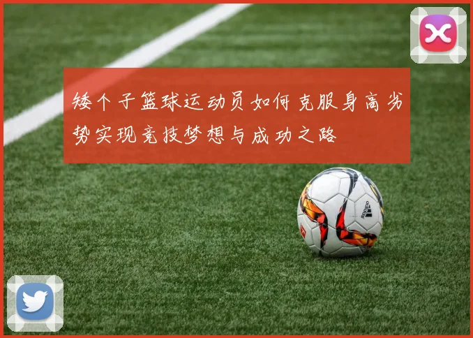 矮个子篮球运动员如何克服身高劣势实现竞技梦想与成功之路