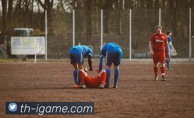 官方页面平台生态图